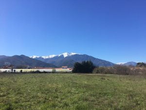 vinca-plaine-plein-sud-amenagement