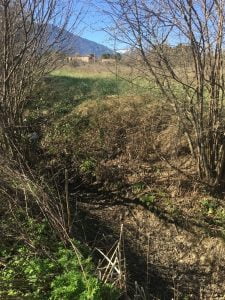 vinca-ravin-plein-sud-amenagement-2