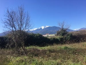 vinca-terrain-plein-sud-amenagement