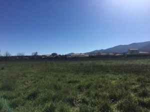 vinca-vue-plein-sud-amenagement