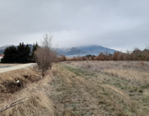 photo-emeraude-vinca