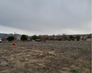 photo-emeraude-vinca-vu