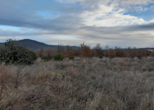 photo-terrain-emeraude