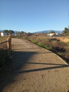 chemin-vinca-orchidee